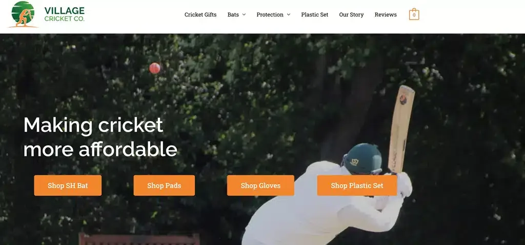 Village Cricket Image